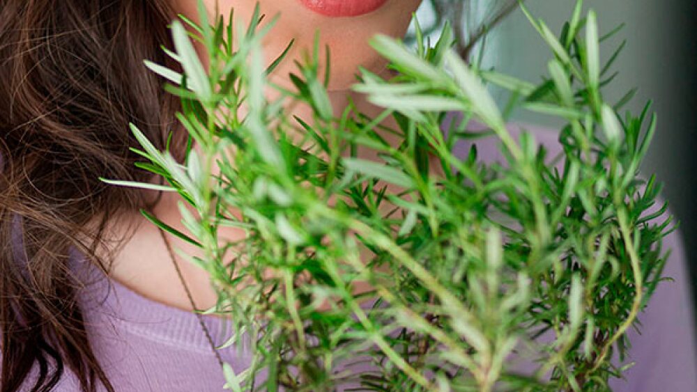 remedios caseros para quitar la orzuela del cabello