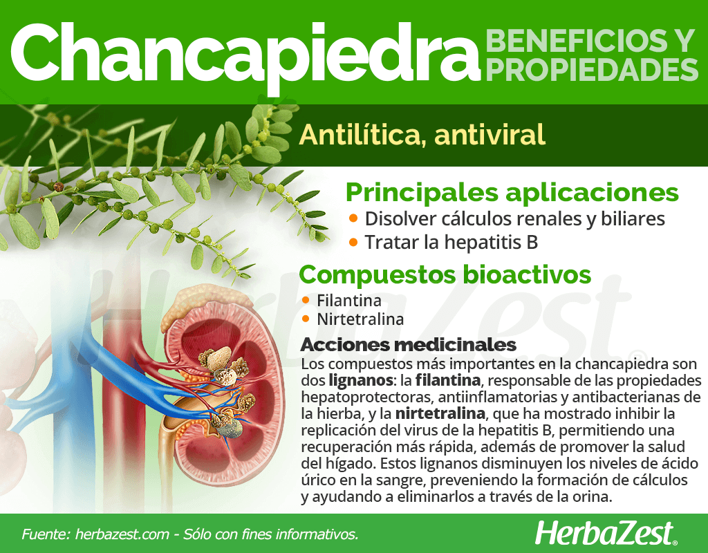 chanca piedra capsulas para que sirve